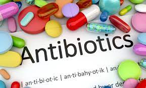 Antibiotic PCD Company in Uttar Pradesh